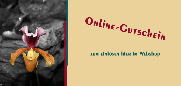 Online-Gutschein für den Webshop 25,00 Euro